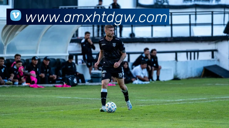 新濠天地官网平台生态图