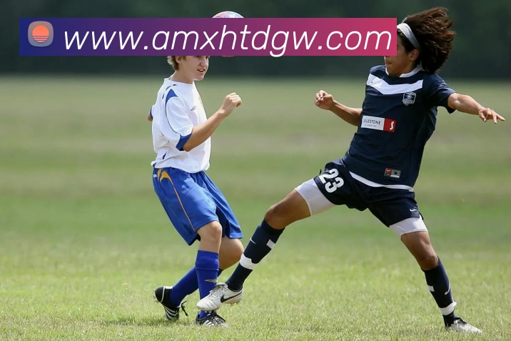 新濠天地官网全站App